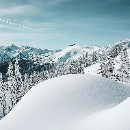 Haus Altenberger By We Rent, Summercard Included Apartment Zell am See
