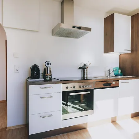 Apartment Haus Altenberger By We Rent, Summercard Included Zell am See