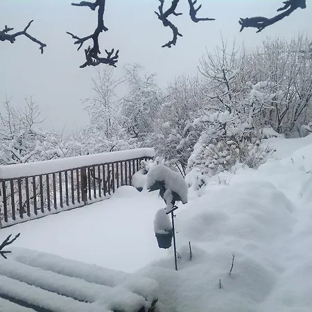 Haus Altenberger By We Rent * 젤암제