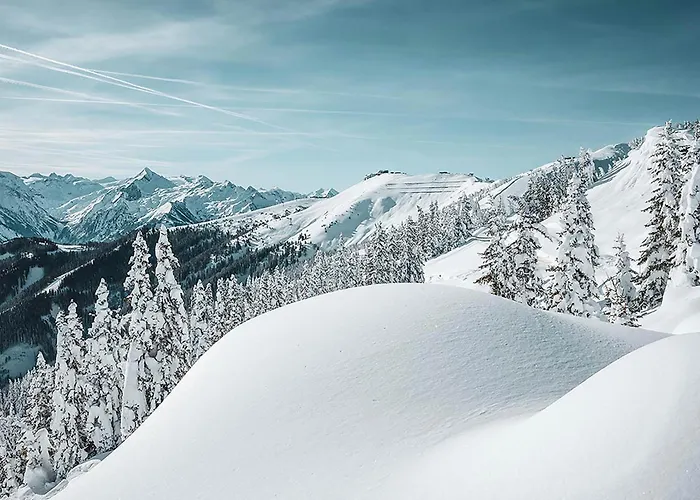 Haus Altenberger By We Rent, Summercard Included Apartman Zell am See